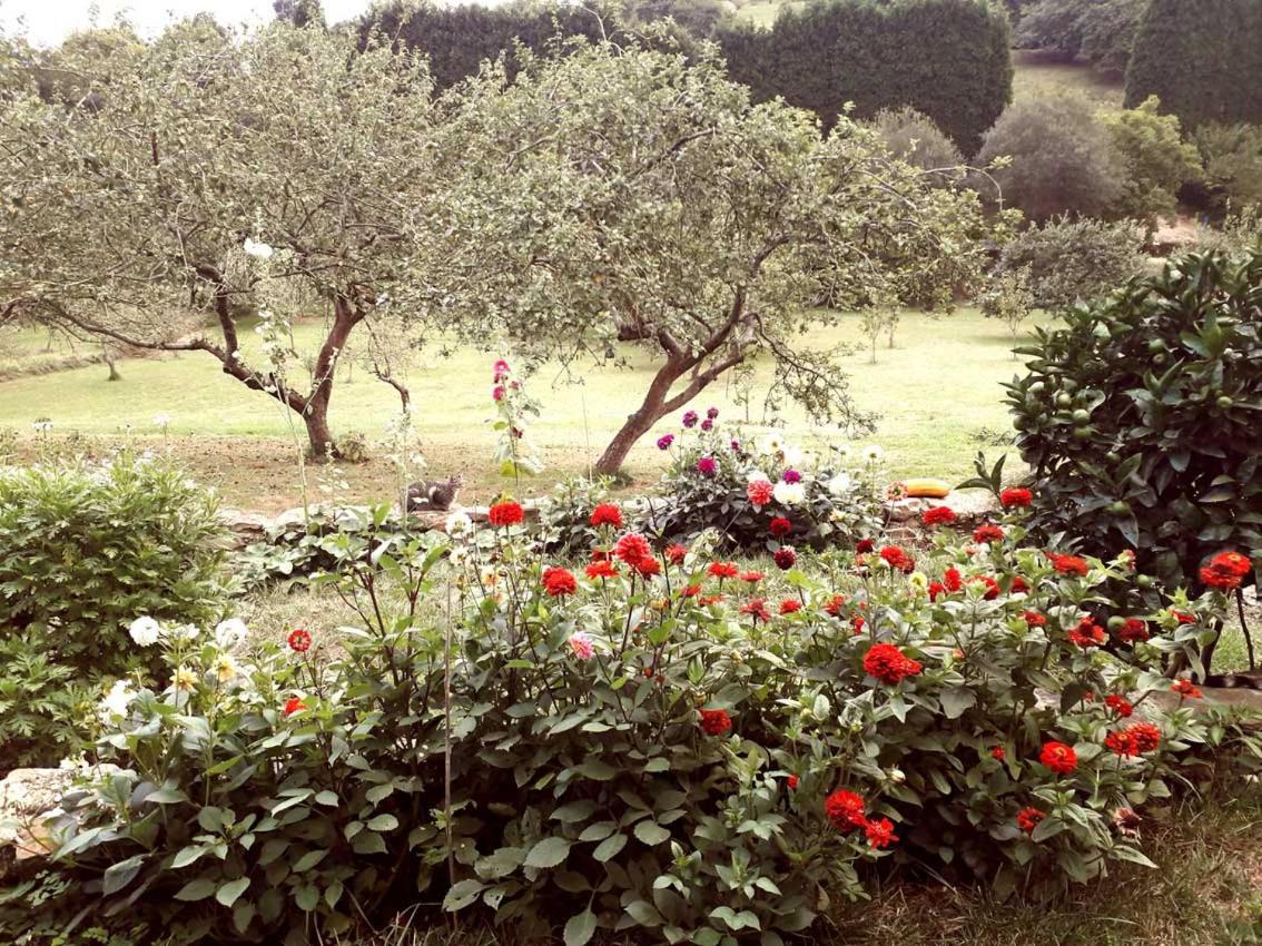 Paca Casa Rural. Arts And Landscape In Asturias Χιχόν Εξωτερικό φωτογραφία