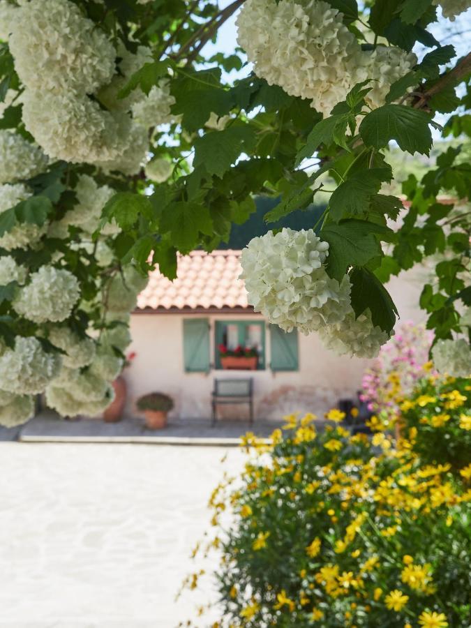 Paca Casa Rural. Arts And Landscape In Asturias Χιχόν Εξωτερικό φωτογραφία