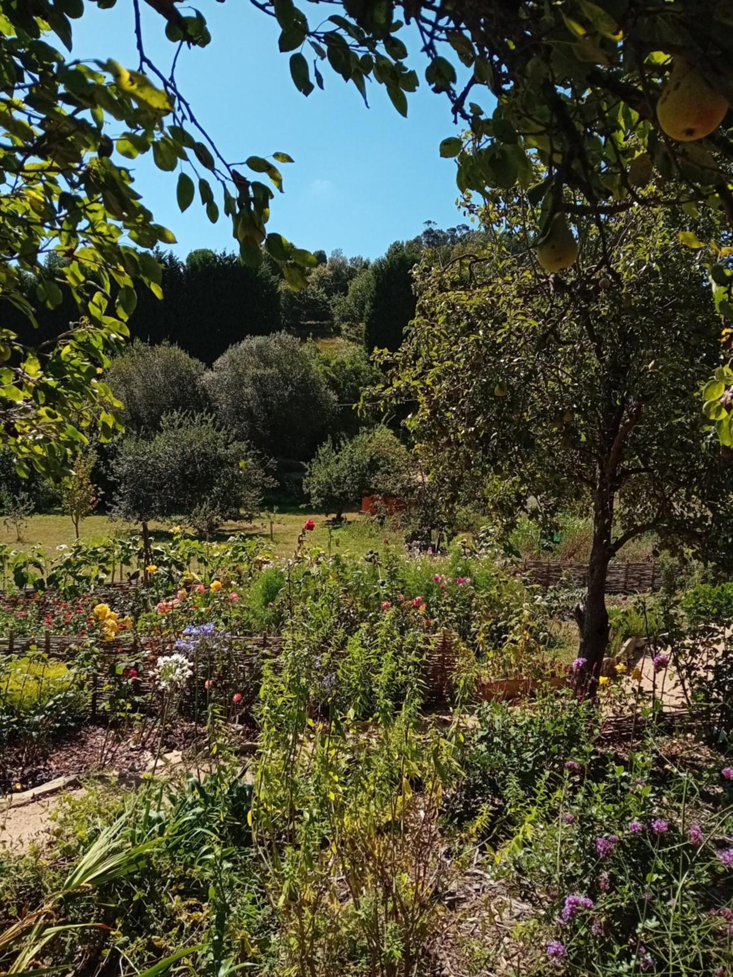 Paca Casa Rural. Arts And Landscape In Asturias Χιχόν Εξωτερικό φωτογραφία