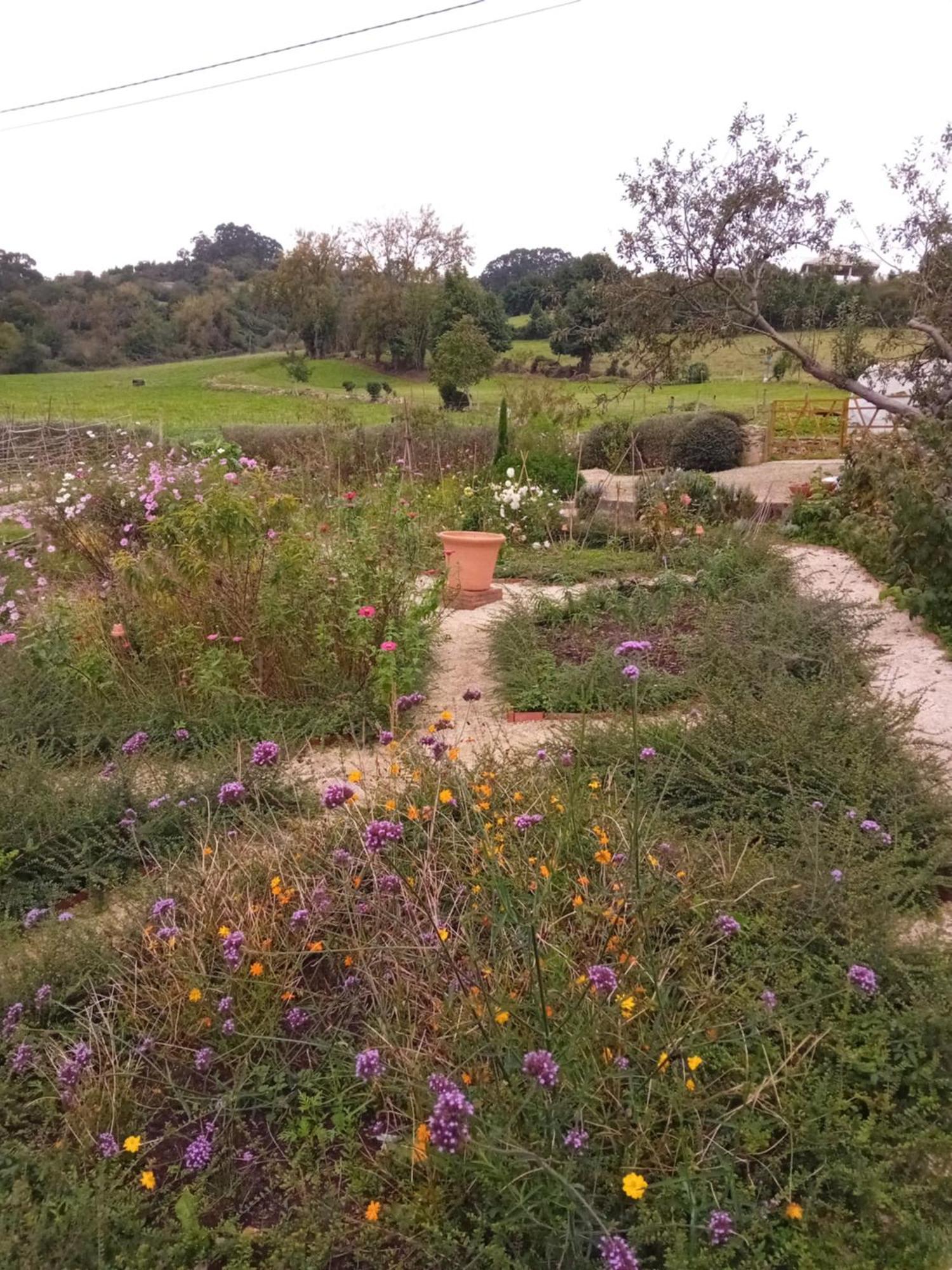 Paca Casa Rural. Arts And Landscape In Asturias Χιχόν Εξωτερικό φωτογραφία